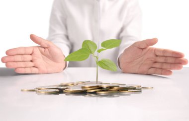  para sikke elinde büyüyen bitki