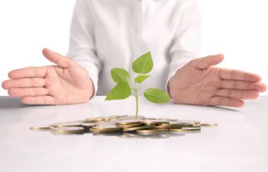  para sikke elinde büyüyen bitki