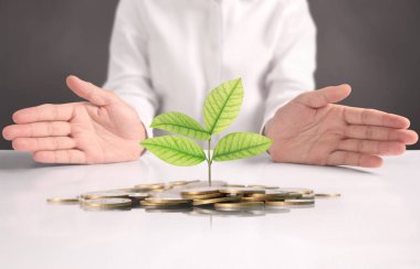  para sikke elinde büyüyen bitki