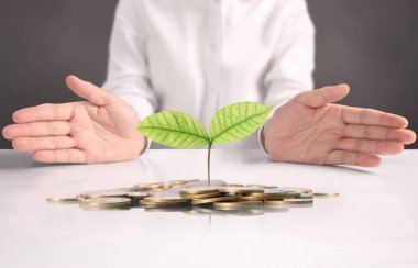  para sikke elinde büyüyen bitki