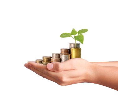 Sikke para koyarak el eller