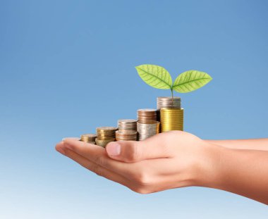 Sikke para koyarak el eller