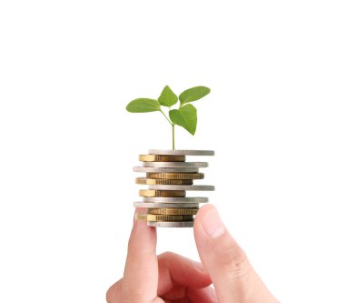 Sikke para koyarak el eller