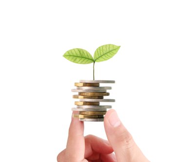 Sikke para koyarak el eller