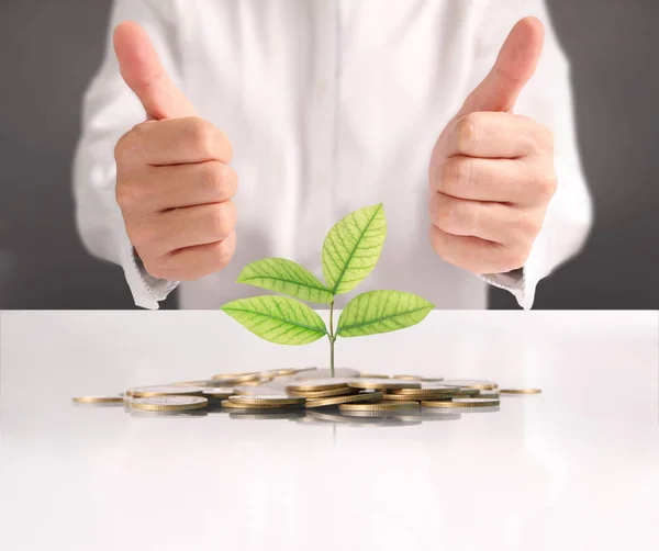 money plant growing from coins in hand