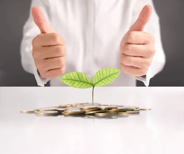 Planta monetaria que crece a partir de monedas en la mano —  Fotos de Stock