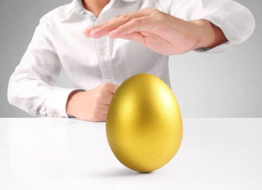 Altın yumurta holding