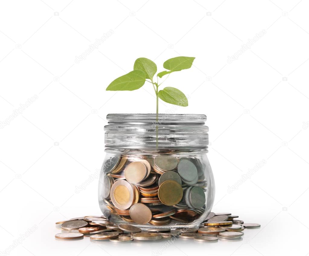 Silver coins in  piggy bank Glass