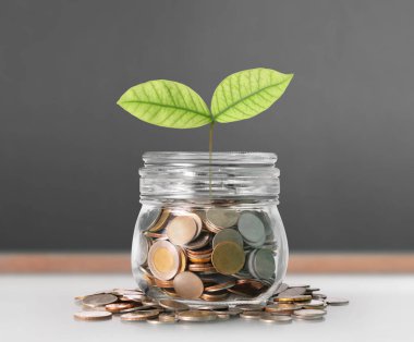 Kumbara cam, gümüş sikke