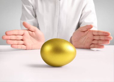 Altın yumurta holding