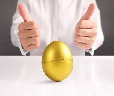 Altın yumurta holding