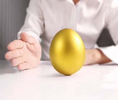 Altın yumurta holding