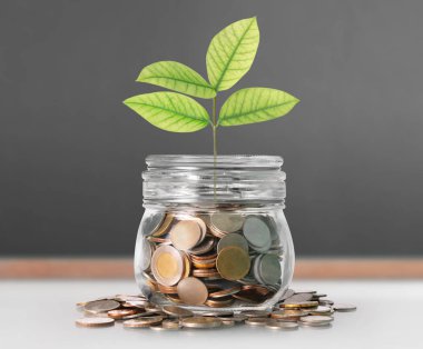 Kumbara cam, gümüş sikke