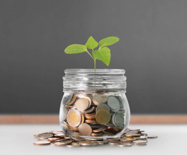 Kumbara cam, gümüş sikke