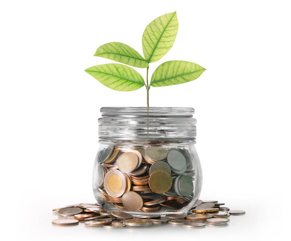 Серебряные монеты в копилке
