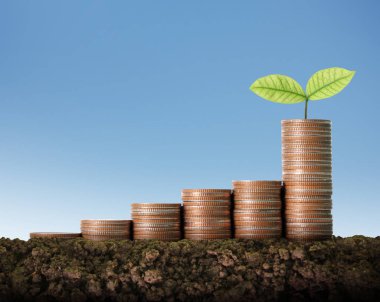  Madeni paralar borsa grafiği