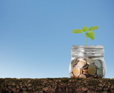 Kumbara cam, gümüş sikke