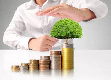 Sikke para koyarak el eller