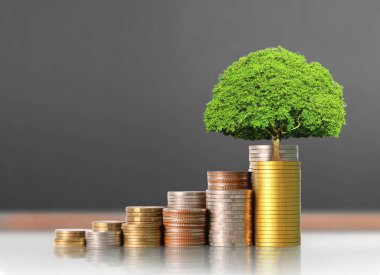 Madeni paralar borsa grafiği