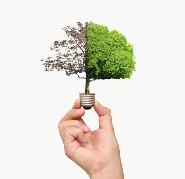 fikirler, enerji ampul