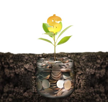 Kumbara cam, gümüş sikke