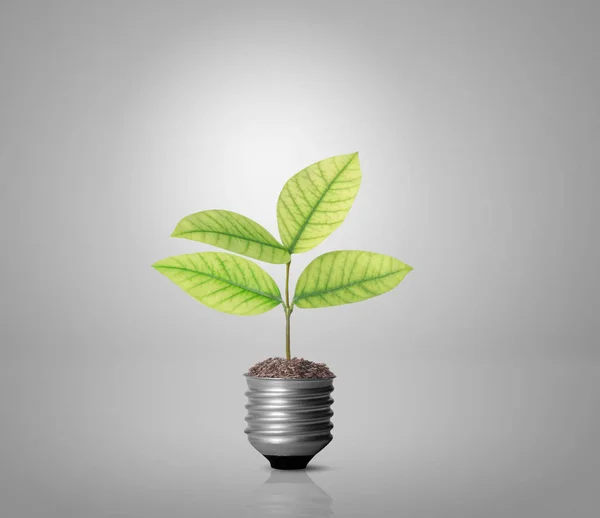 Energiebesparende lamp — Stockfoto