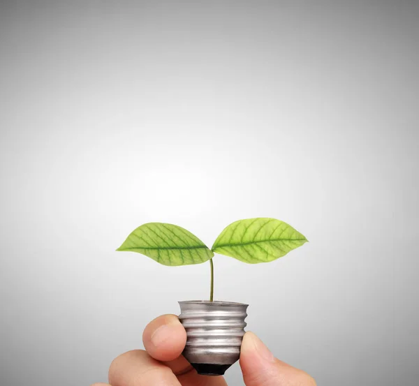 Ideas, energy light bulb — Stock Photo, Image