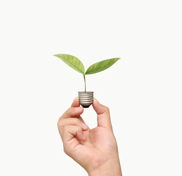 Ideas, energy light bulb — Stock Photo, Image