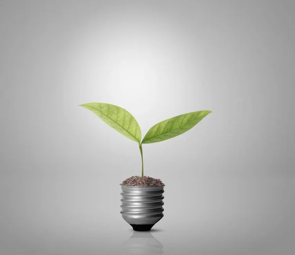 Energiebesparende lamp — Stockfoto