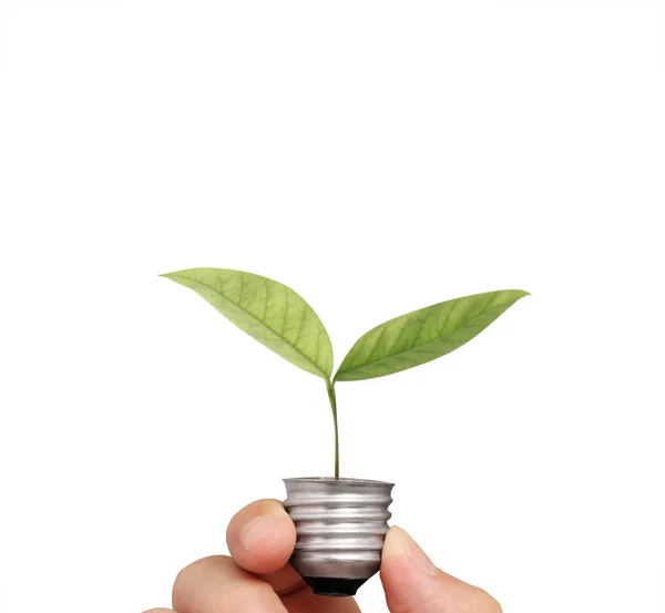 Ideas, energy light bulb — Stock Photo, Image