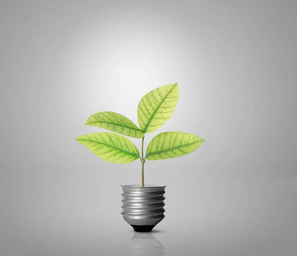 Energiebesparende lamp — Stockfoto