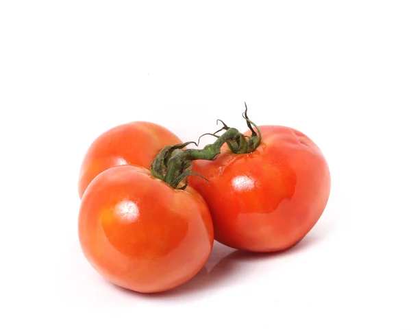 Rote Tomaten reif natürlich — Stockfoto