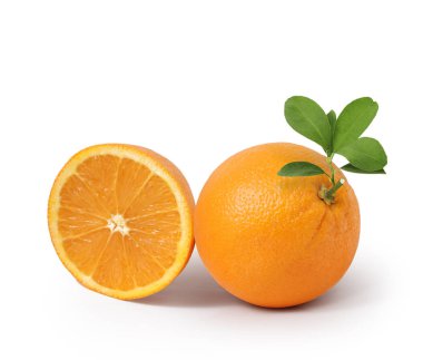  turuncu beyaz arkaplan