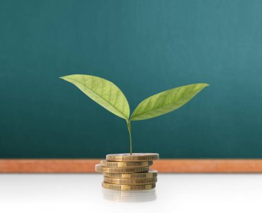  Madeni paralar borsa grafiği