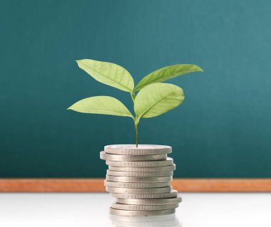  Madeni paralar borsa grafiği