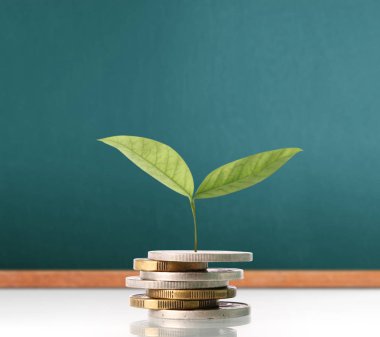  Madeni paralar borsa grafiği