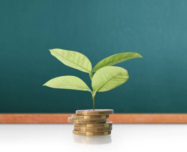  Madeni paralar borsa grafiği