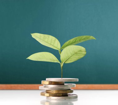  Madeni paralar borsa grafiği