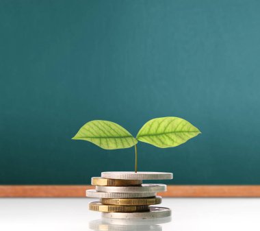  Madeni paralar borsa grafiği