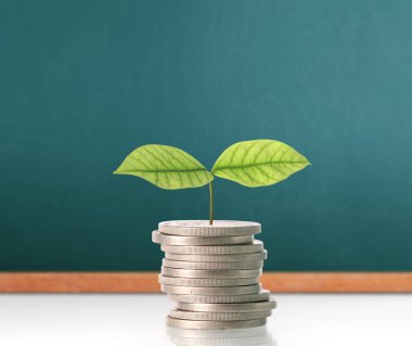  Madeni paralar borsa grafiği