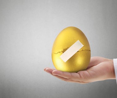  Altın yumurta holding