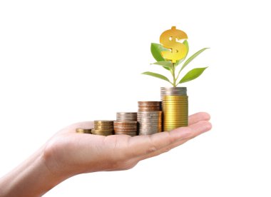 İnsan eli paraya para katar, iş fikirleri