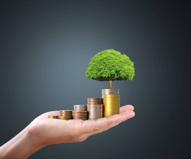 İnsan eli paraya para katar, iş fikirleri