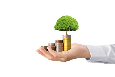 Sikke para koyarak el eller