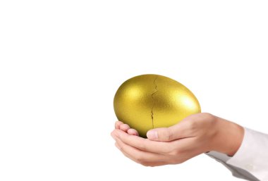 İşadamı Holding altın yumurta