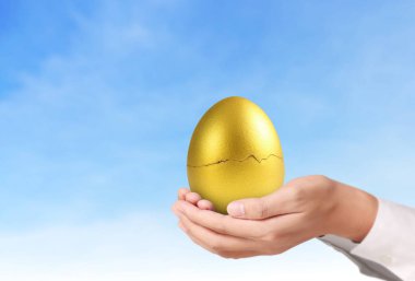  Altın yumurta holding