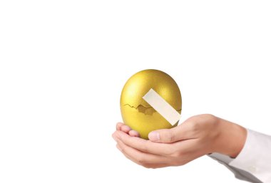 İşadamı Holding altın yumurta