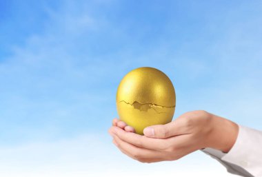 İşadamı Holding altın yumurta