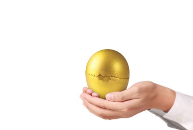 İşadamı Holding altın yumurta