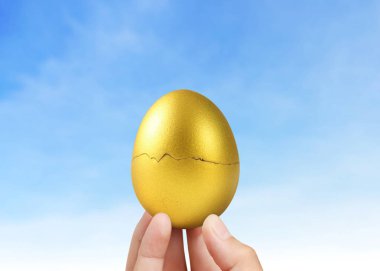  Altın yumurta holding